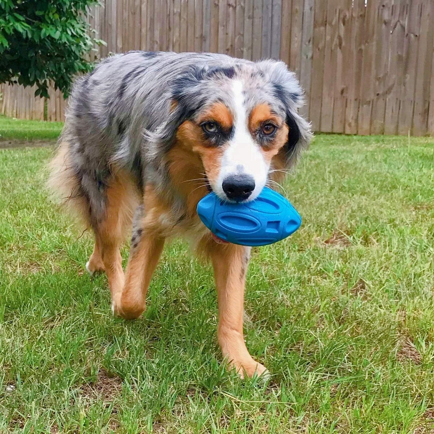 Squeaky Dog Toys For Aggressive Chewers Rubber Puppy Chew Ball With Squeaker, Almost Indestructible And Durable Pet Toy For Medium And Large Breed